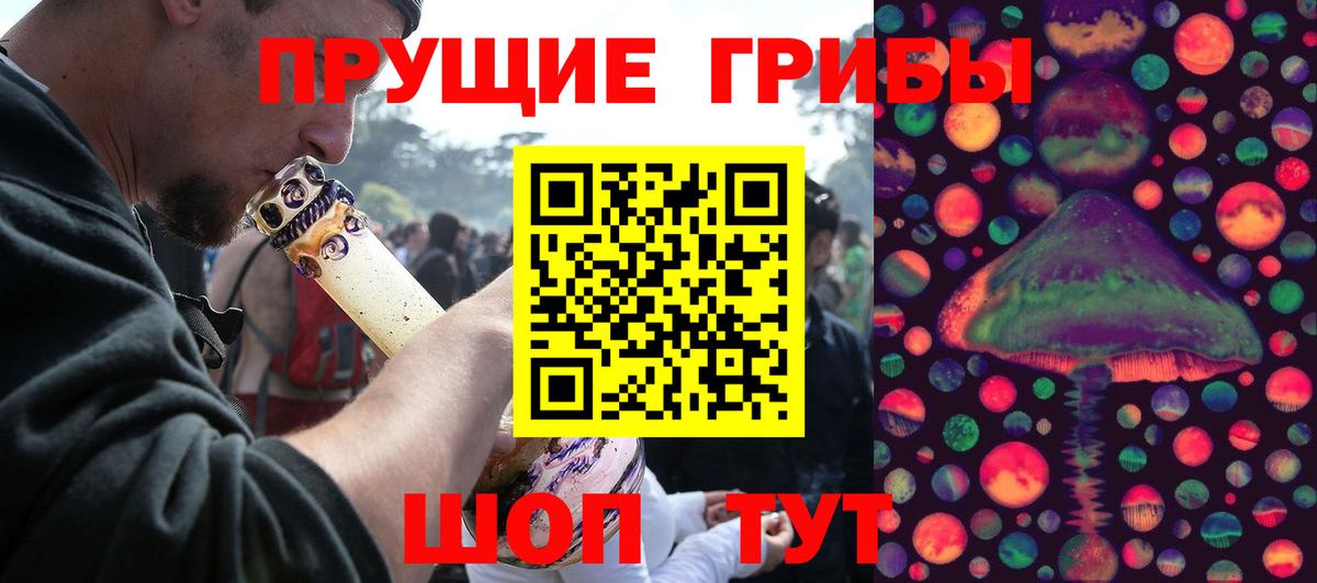 Псилоцибиновые грибы GOLDEN TEACHER Анжеро-Судженск