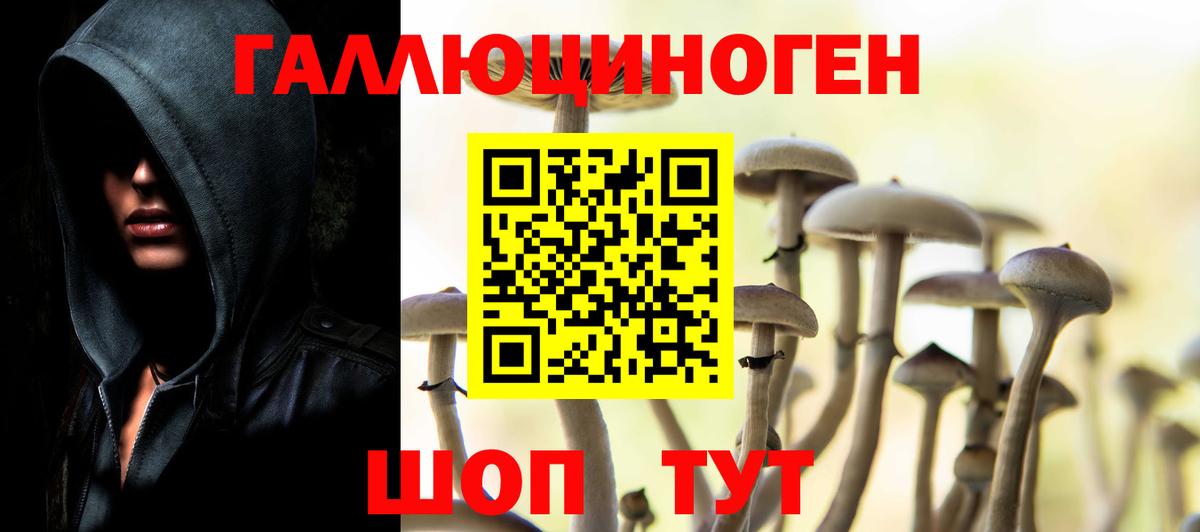 Галлюциногенные грибы Psilocybe  Галлюциногенные грибы Psilocybine cubensis  наркотики  Анжеро-Судженск  Вход с VPN 
